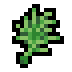 Dill