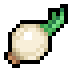 Onion