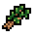 Thyme