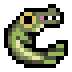 Alligator Gar