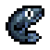 Freshwater Eel