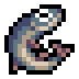 Muskie