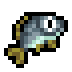 Sea Bream