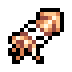Squid