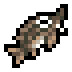Sturgeon
