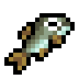 Sweetfish