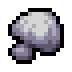 Ash Mushroom