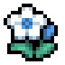 Fog Orchid