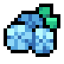 Hydrangea