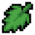 Nettle