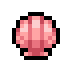 Pink Scallop Shell