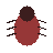 Bug