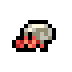 Hermit Crab
