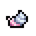Hermit Snail