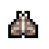 Lantern Moth