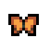 Question Mark Butterfly